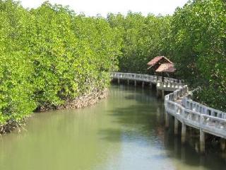 Island View Tempat peranginan